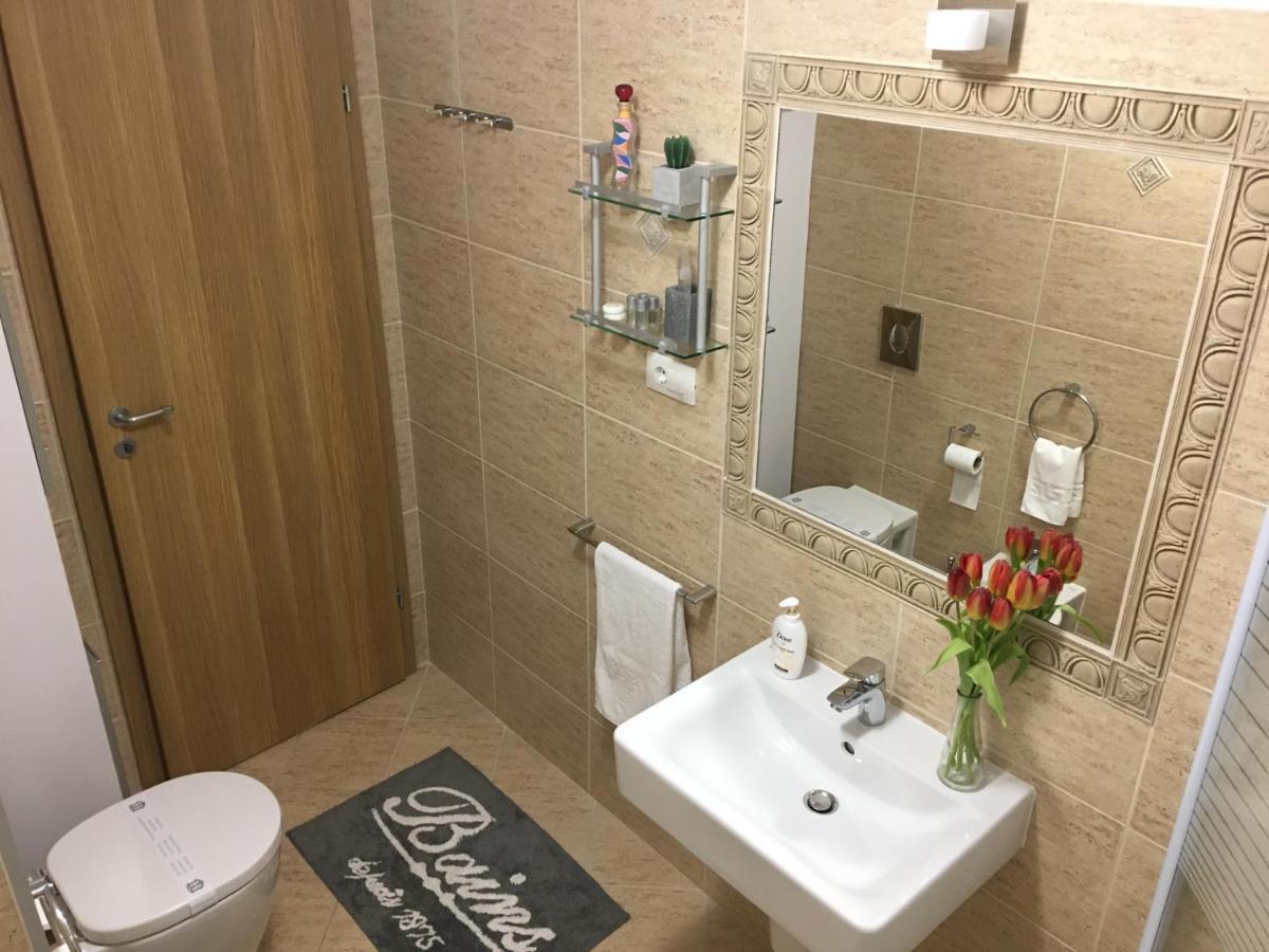 Elegantza Suites Braşov Eksteriør billede