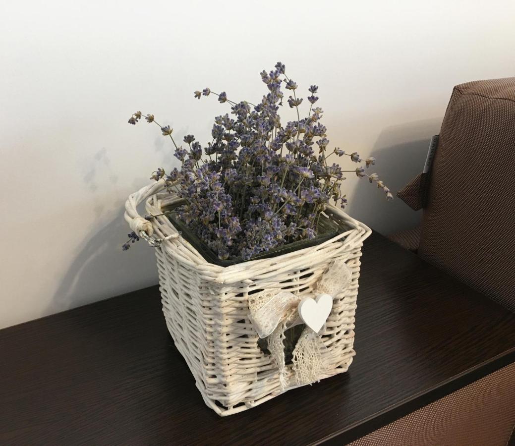 Elegantza Suites Braşov Eksteriør billede